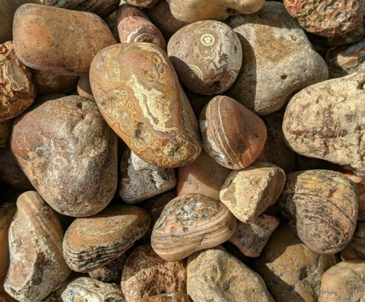 Bahia Agate - Large Rough Rocks for Tumbling - 2" - 3" - 1LB Bulk Wholesale