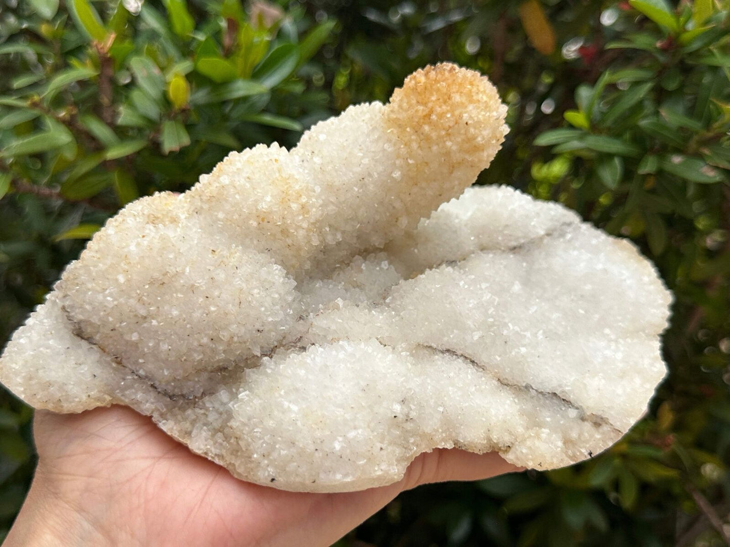 Chalcedony & Crystal Quartz Stalactite, Quartz on Chalcedony Stalactite Specimen