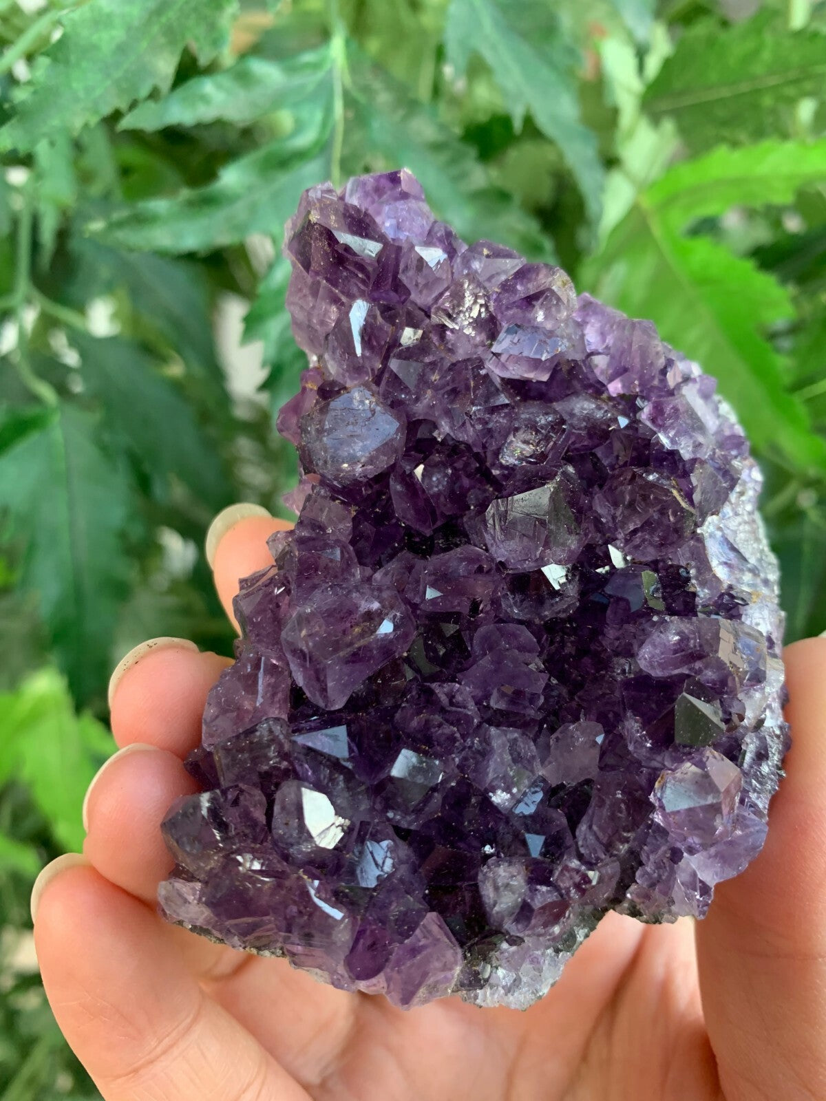 Deep Purple Amethyst Cluster From Uruguayan, Amethyst Geode, Raw Amethyst