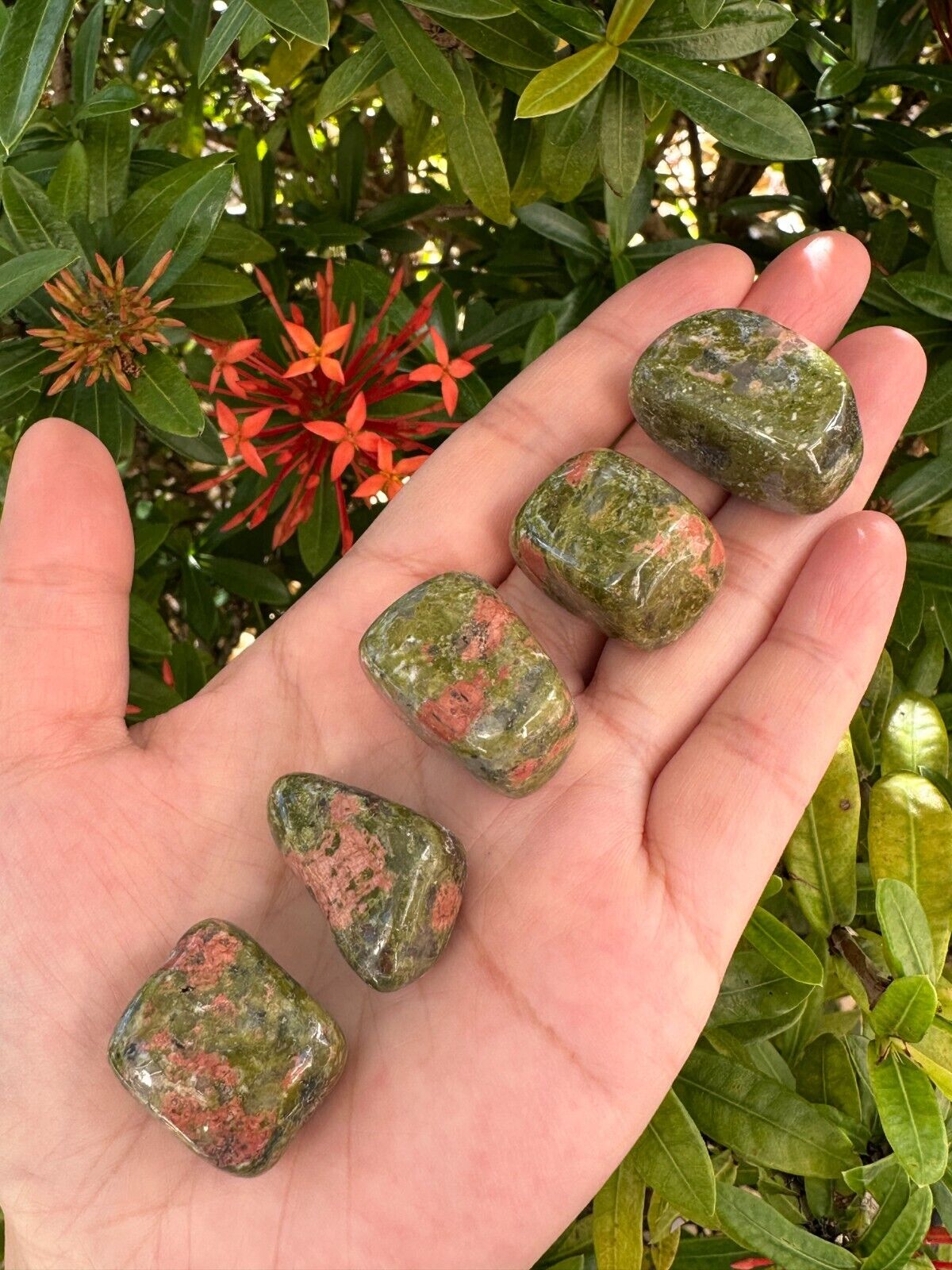 Grade A++ Unakite Tumbled Stones, 0.75-1" Tumbled Unakite Stone, Wholesale Bulk
