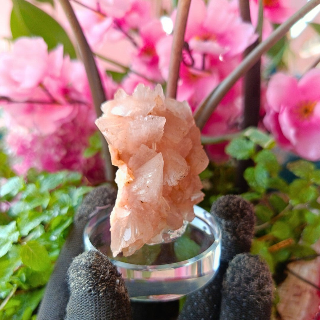 Rare Orange Stilbite & Heulandite Crystal Specimen 130g From India