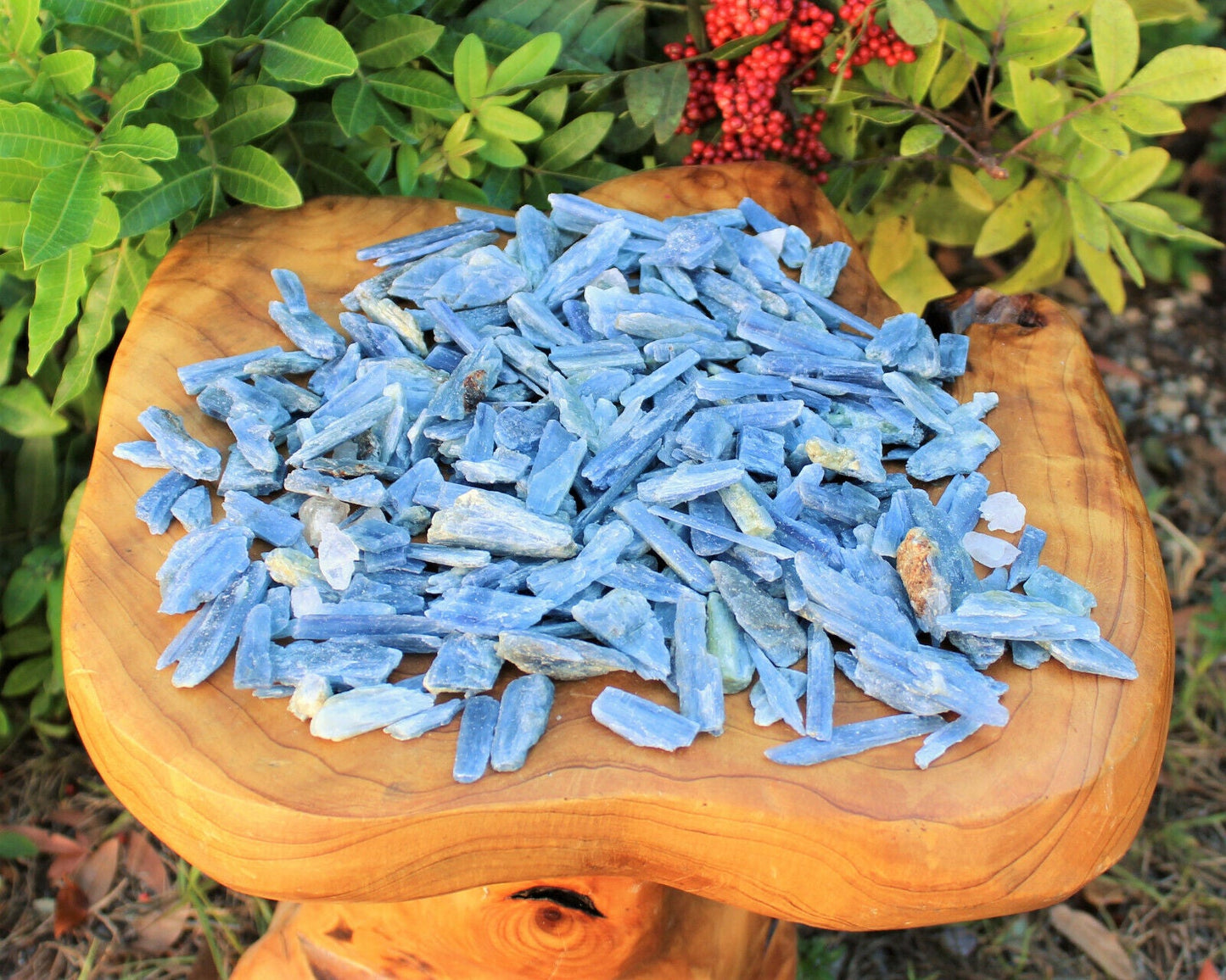 Blue Kyanite Blades Crystal Collection 1/2 lb Box Lot - Natural Kyanite Crystals