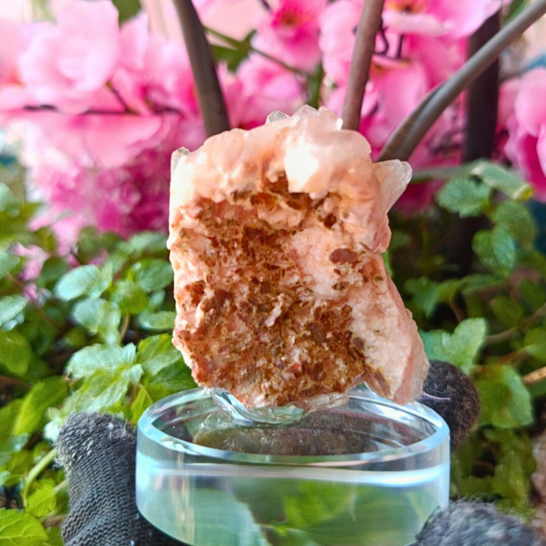 Rare Orange Stilbite & Heulandite Crystal Specimen 130g From India