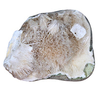162g Scolecite Geode Natural Radiating Crystal Mineral Specimen India