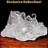 Rare Himalayan Clear Quartz 75g Collector Mineral Specimen Raw Crystal