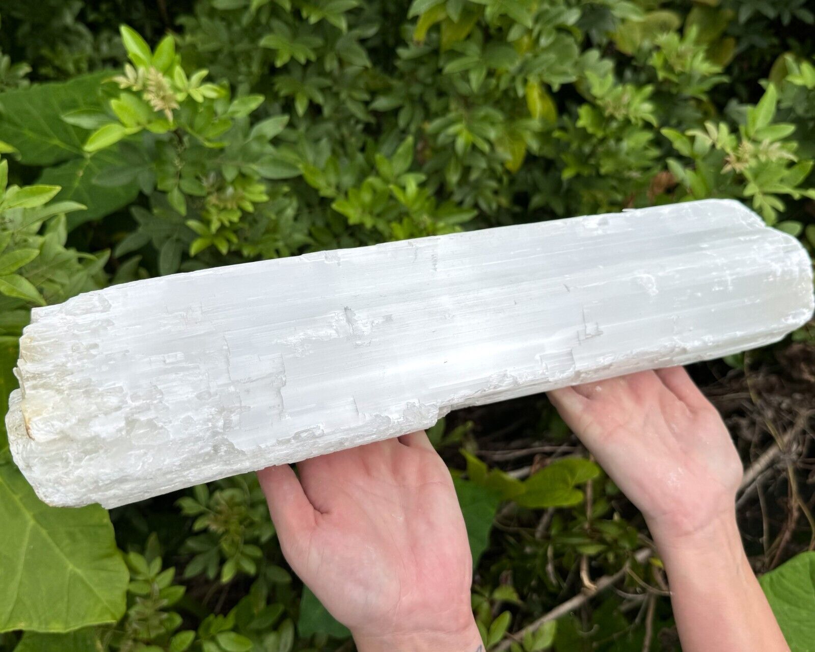 MASSIVE Selenite Logs - Natural White Selenite Crystals (HUGE Selenite Sticks)