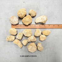 Break Your Own Geodes Unbroken Quartz Crystal Geode with Sparkly Crystals Inside