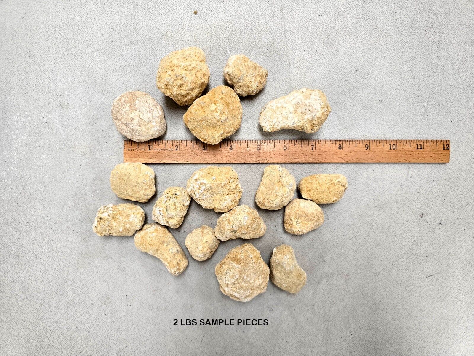 Break Your Own Geodes Unbroken Quartz Crystal Geode with Sparkly Crystals Inside