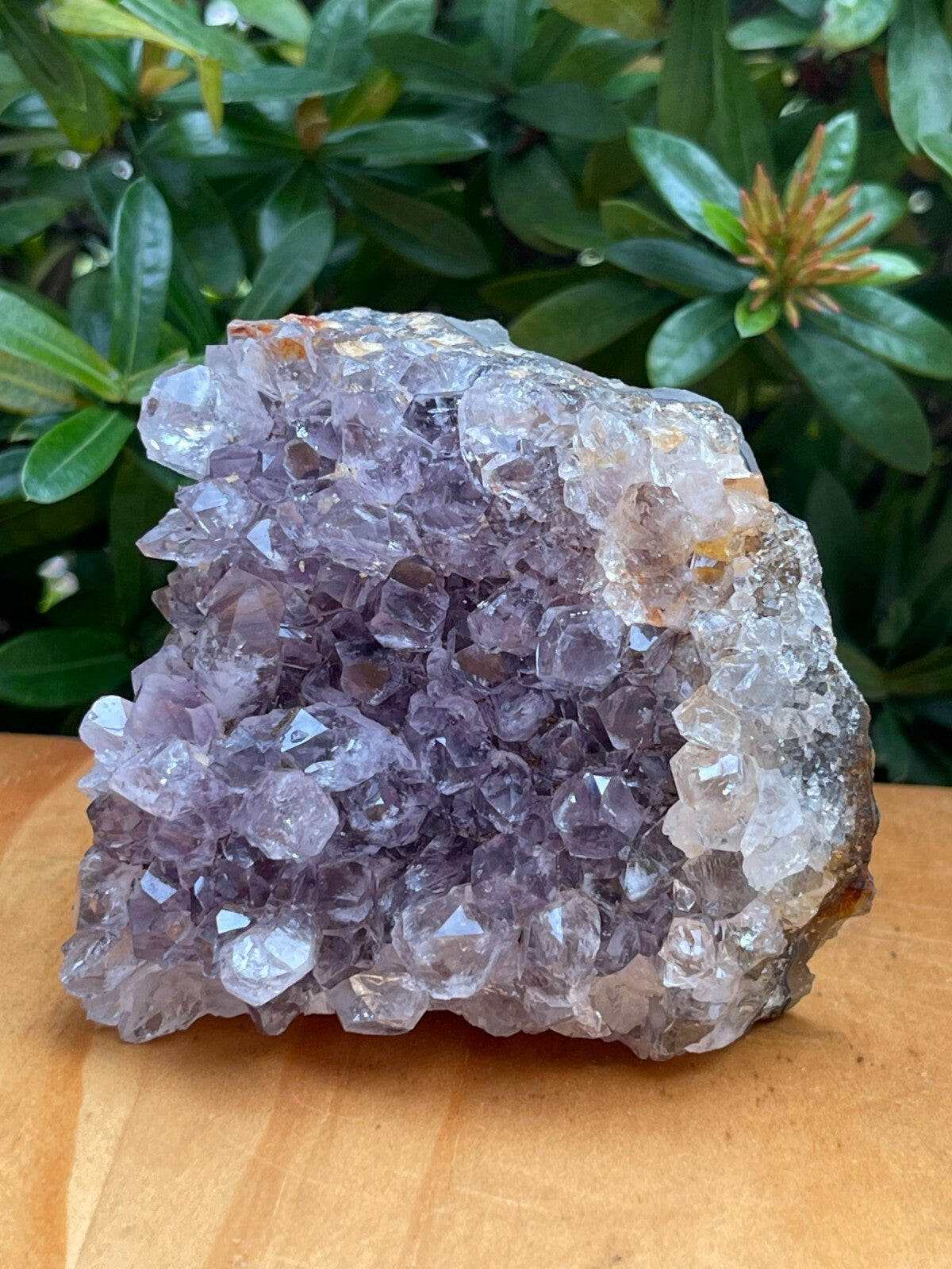 Uruguayan Amethyst Cluster, Grade B Amethyst Geode with Cut Base, Pick a Size