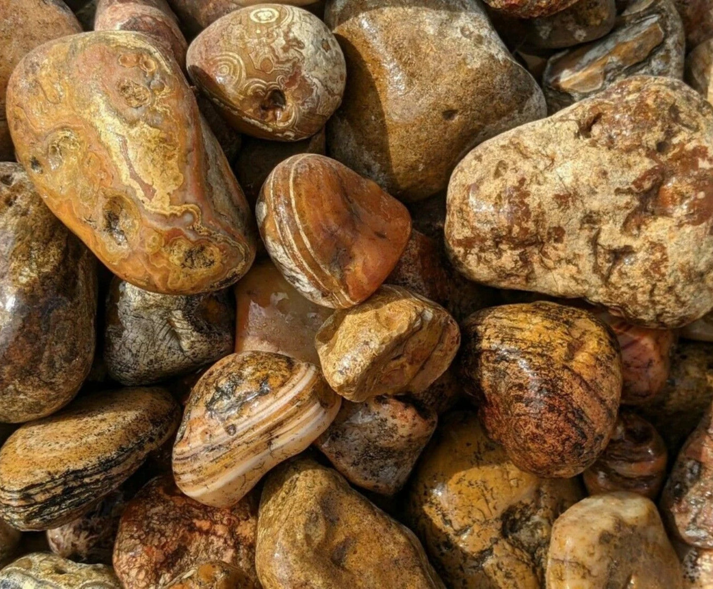 Bahia Agate - Large Rough Rocks for Tumbling - 2" - 3" - 1LB Bulk Wholesale