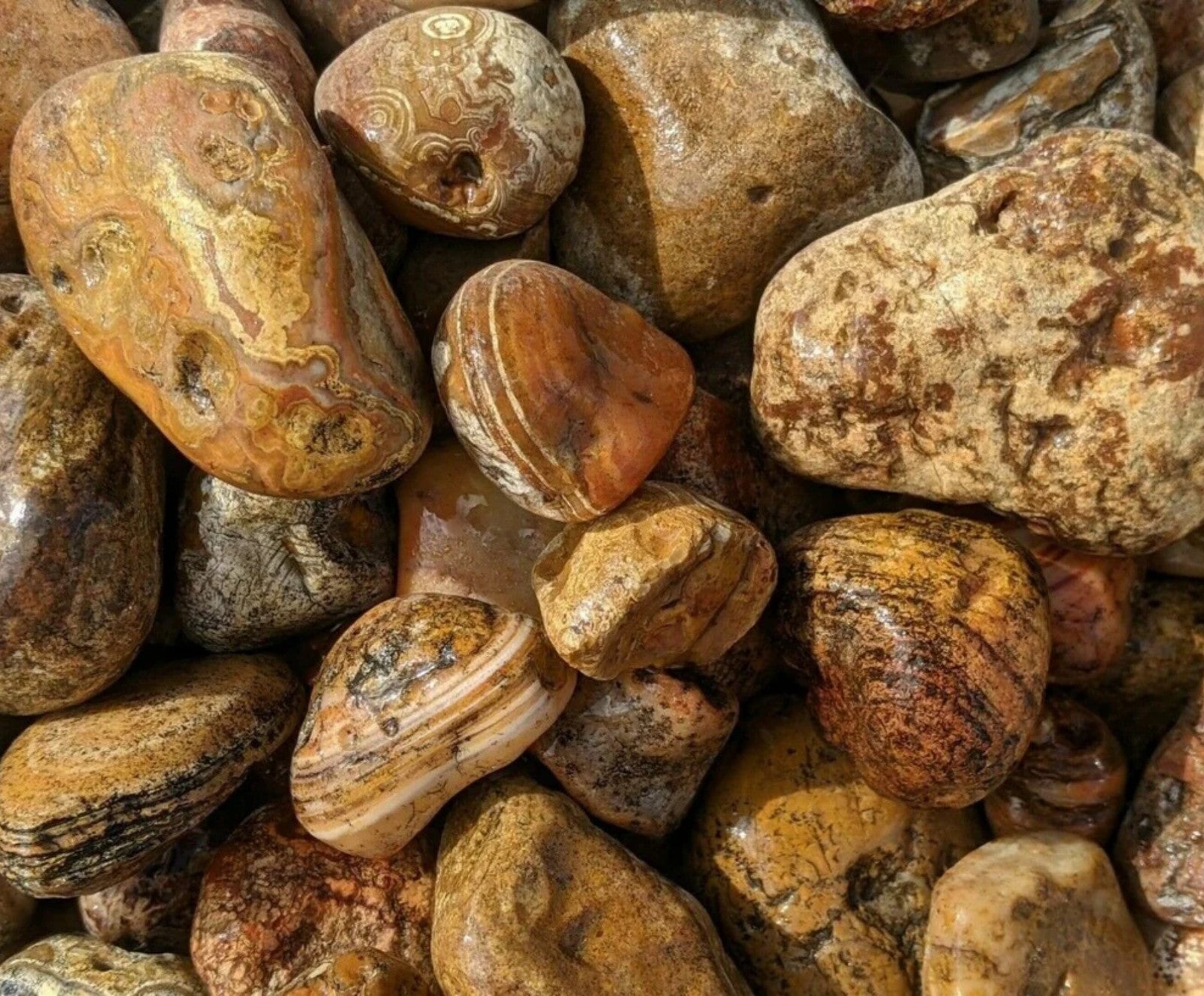 Bahia Agate - Large Rough Rocks for Tumbling - 2" - 3" - 1LB Bulk Wholesale