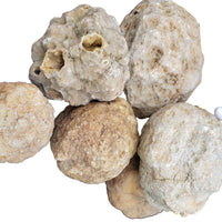 5 lbs Premium Kentucky Uncut Geodes Agates Nodules Lapidary Quartz Crystals Sale
