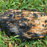 Extra Large Black Tourmaline Chunk / Rod / Log, Natural Rough Black Tourmaline