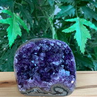 Finely Polished Uruguay Deep Purple Amethyst Cluster Crystal Geode, Pick a Size