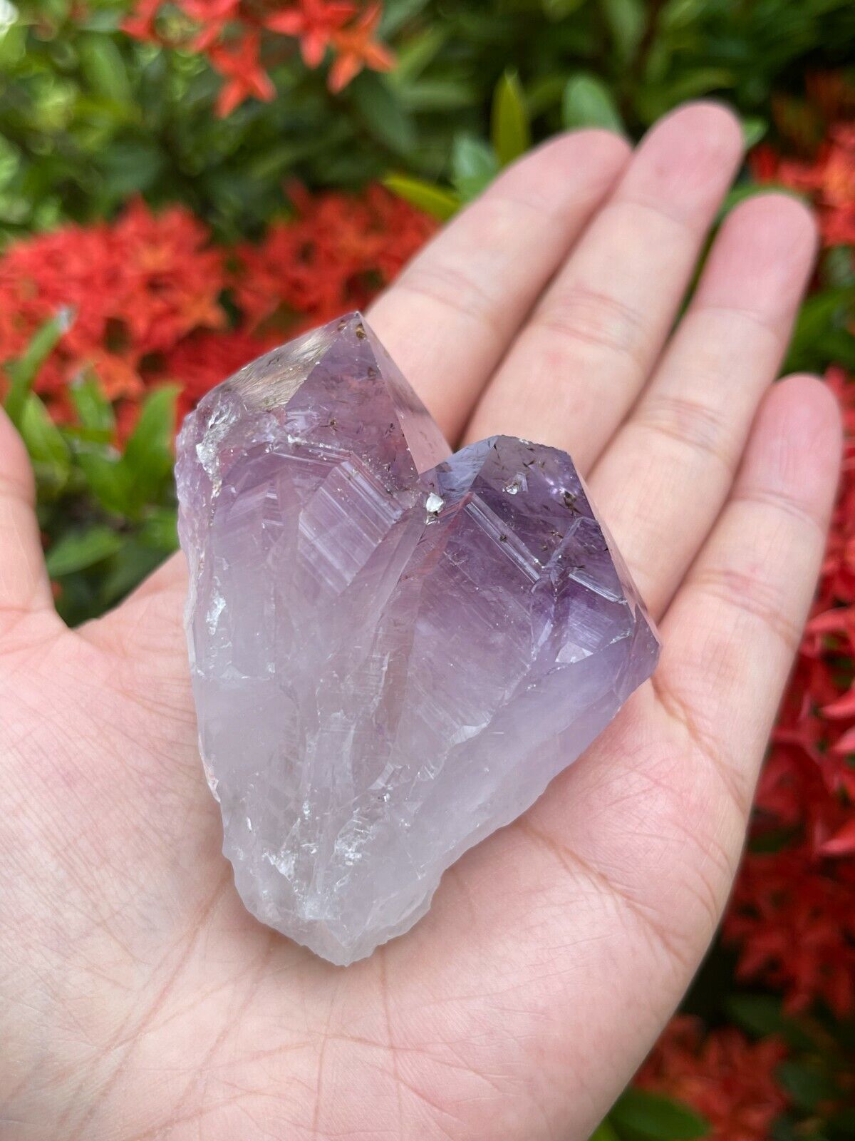 Extra Large Amethyst Rough Points, 2.5 - 3.25" Raw Amethyst Points, Bulk Lot
