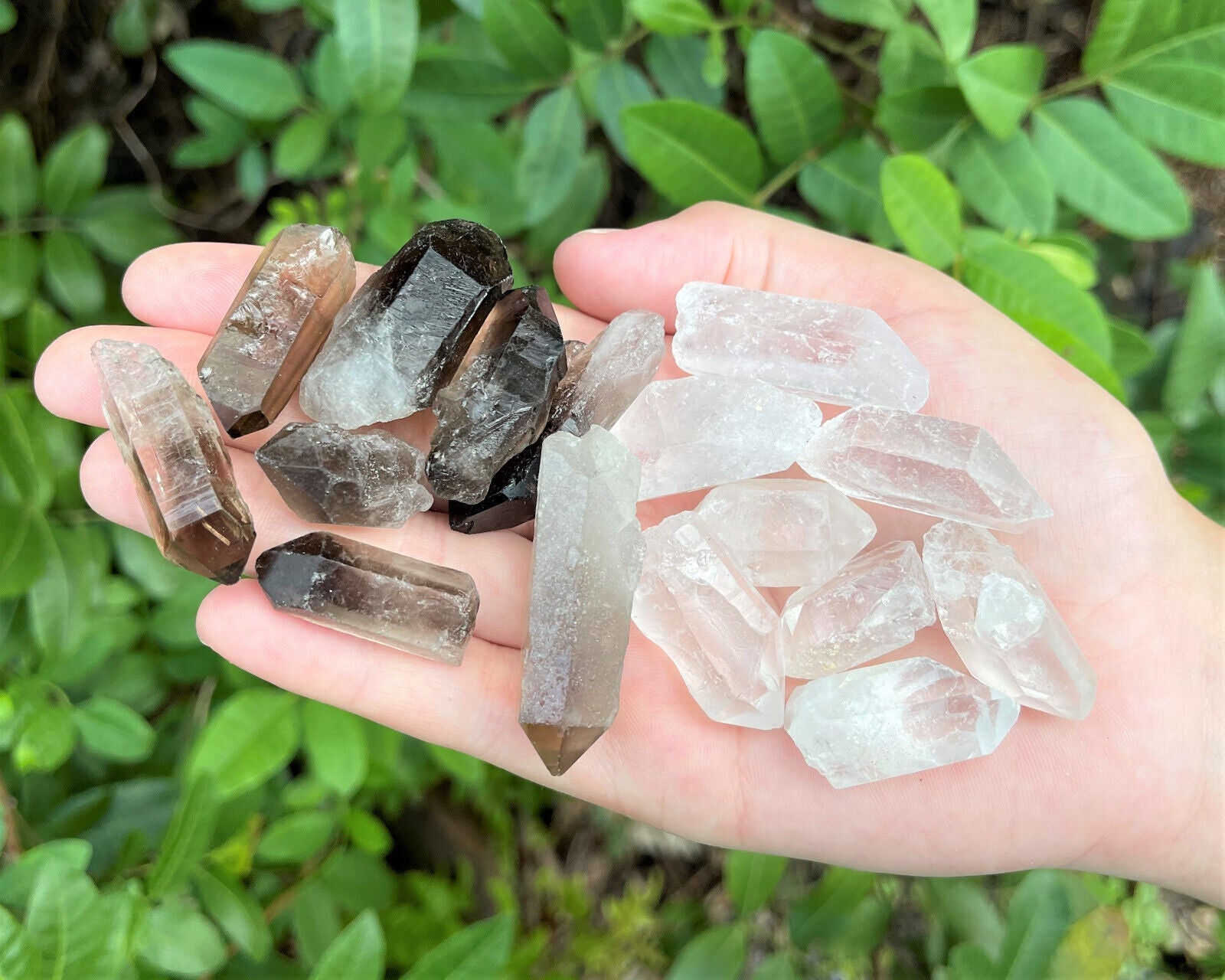1/4 lb Bulk Lot Mixed Smokey & Quartz Crystal Natural Clear Points Smoky