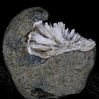 76g Scolecite Geode Natural Needle Crystal Cluster Mineral India