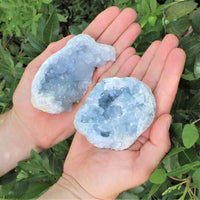 LARGE Natural Celestite Crystal Cluster Box: 6-8 Pieces, 1.75-2.5 lb Bulk Lot