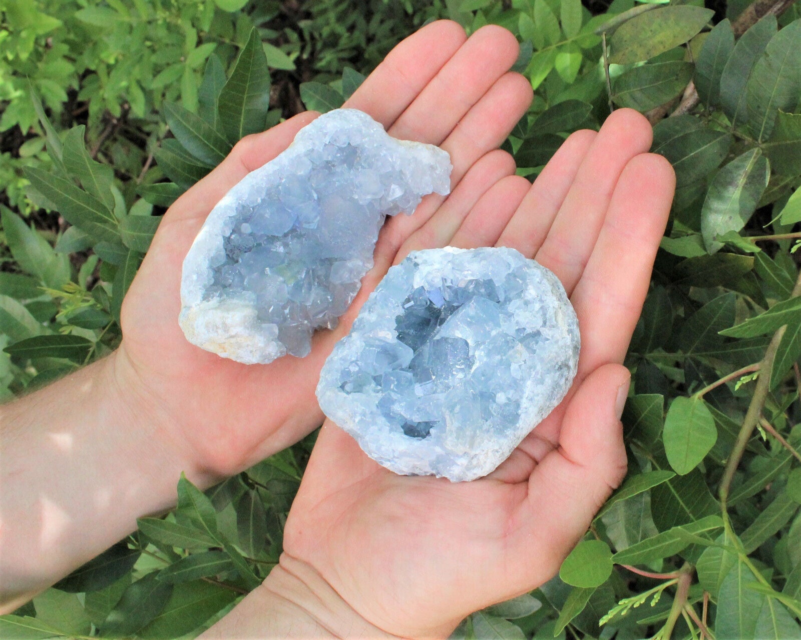 LARGE Natural Celestite Crystal Cluster Box: 6-8 Pieces, 1.75-2.5 lb Bulk Lot