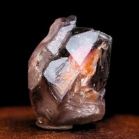 Rare Smokey Scepter Amethyst Crystal 70g |Unique Collector Specimen 4x3cm