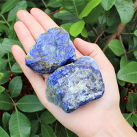 LARGE Rough Lapis Lazuli Chunks, 2" - 3" (Blue Raw Crystal Gemstone Specimen)