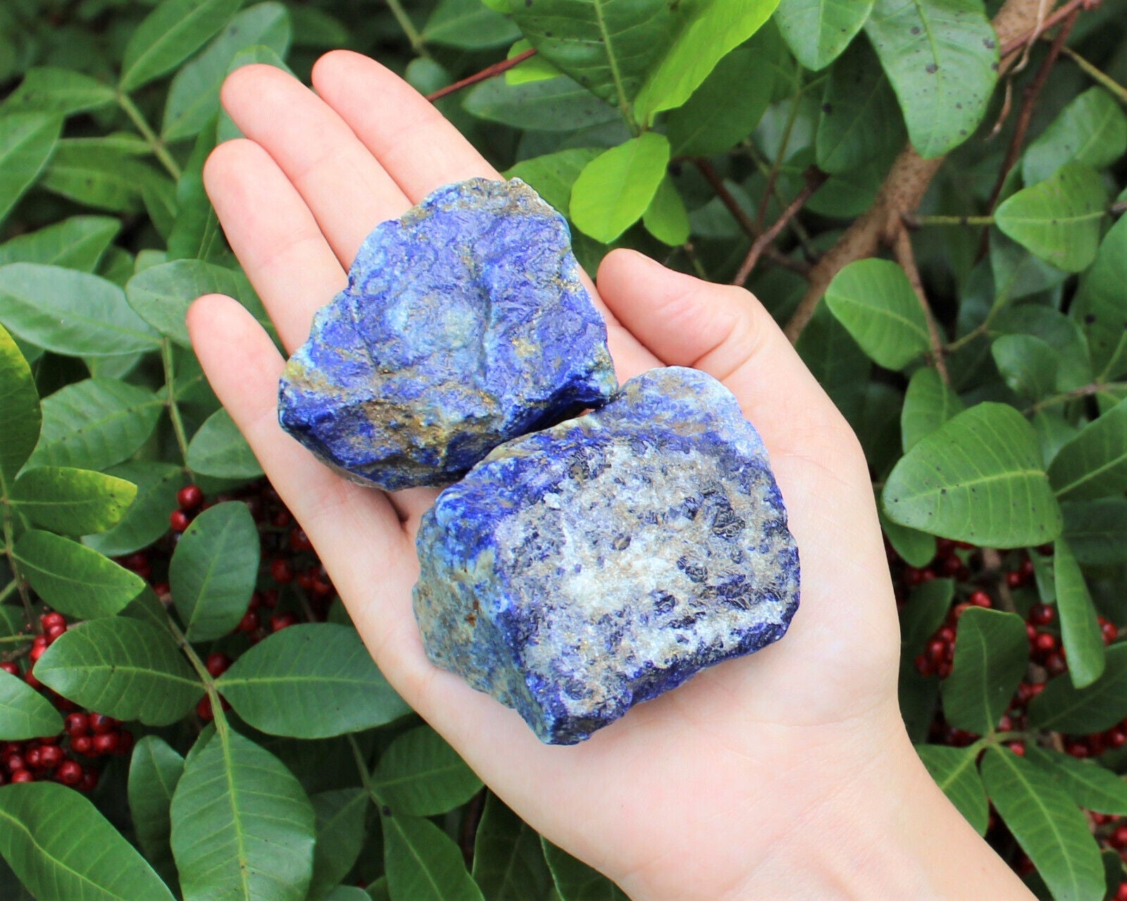 LARGE Rough Lapis Lazuli Chunks, 2" - 3" (Blue Raw Crystal Gemstone Specimen)