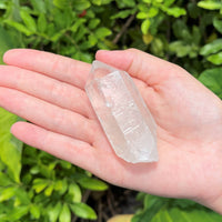 Clear Quartz Crystal Point (2" - 3") Natural Wand Specimen, Reiki Healing