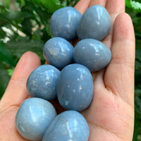 1/2 Lb Lot Tumbled Stones, 0.75-1.25" Crystal Healing Stones, Choose Stone Type