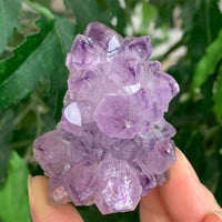 Amethyst Cluster, Amethyst Geode, Raw Amethyst, Amethyst Druze, Pick a Size