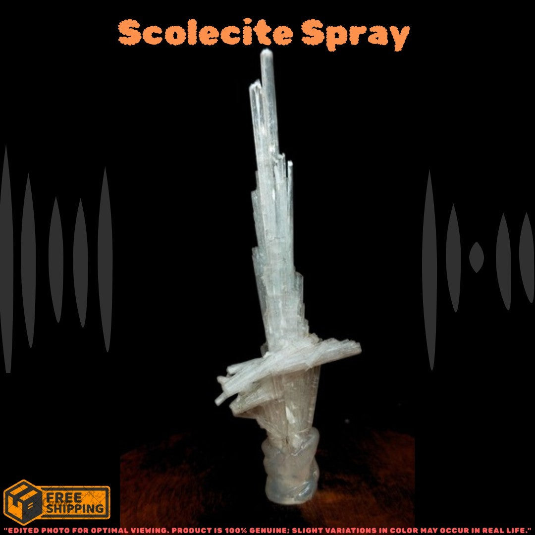 Natural Scolecite Cluster Stone 14g White Zeolite Mineral from India