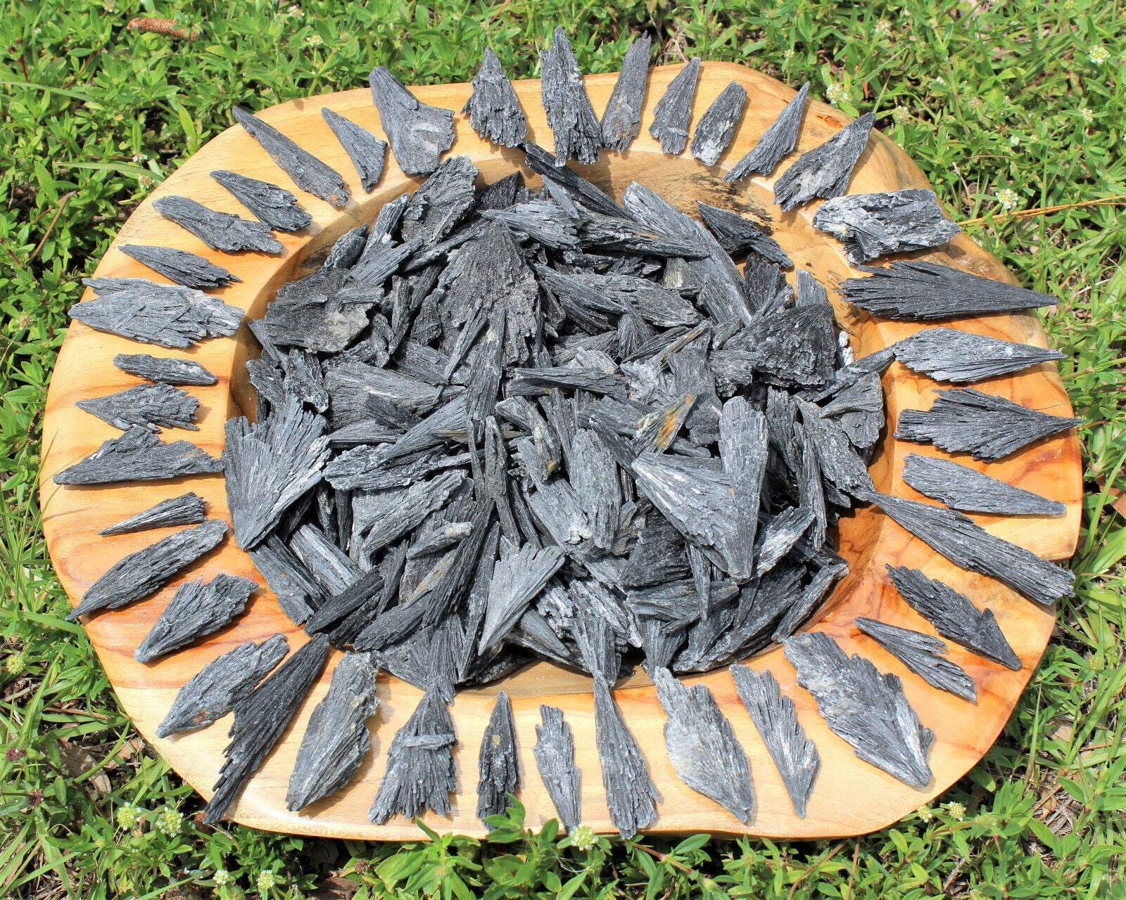 1 lb Black Kyanite Blades Fans: Natural Premium Quality Wholesale Bulk Lot 16 oz