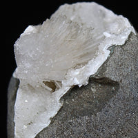 Scolecite Geode 160g 6x4.5cm Natural Healing Mineral Specimen from India