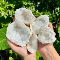 CRAZY CHEAP Break Your Own Geodes - 20 lb Box JUMBO Unopened Moroccan Crystals