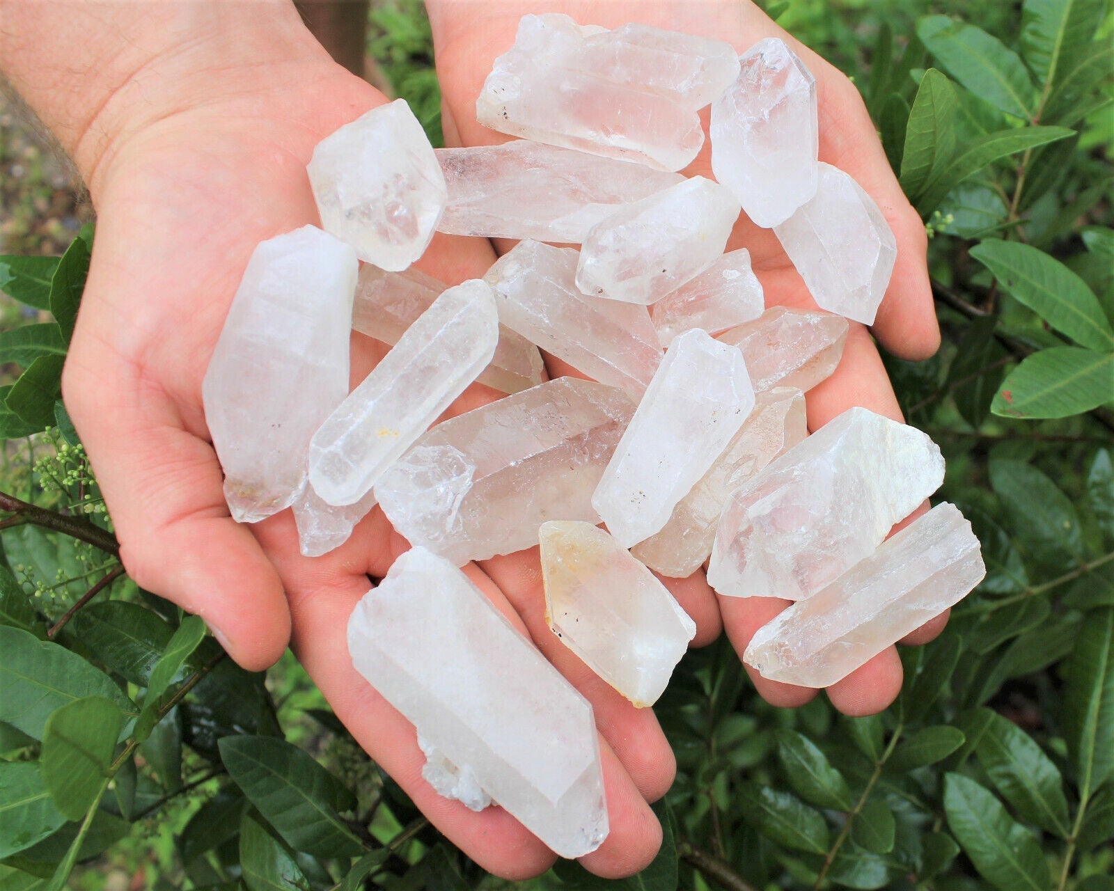 Bulk Wholesale 5 lb Lot CLEARANCE Natural Quartz Crystal Points (GREAT VALUE)