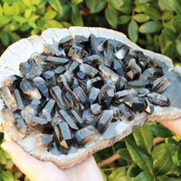 1/4 lb Bulk Lot Mixed Smokey & Quartz Crystal Natural Clear Points Smoky