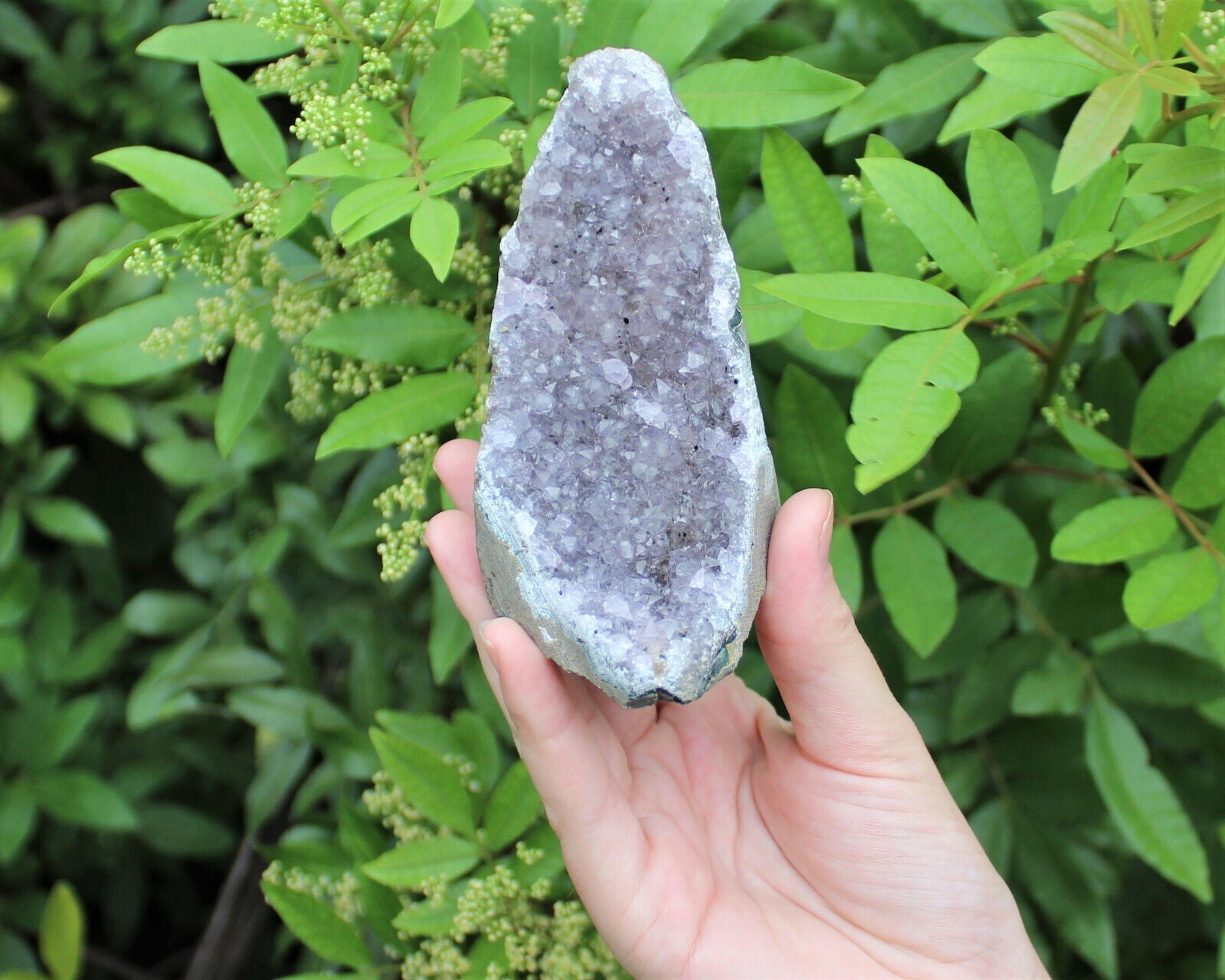CRAZY CHEAP Gray Lavender Amethyst Cut Base Crystal Geodes - Closeout Amethyst