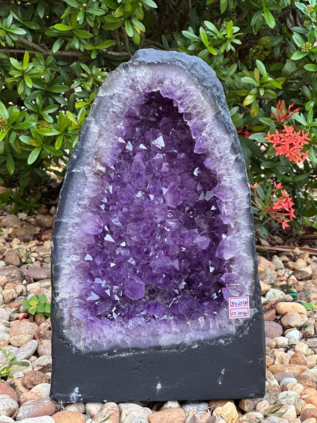 X-Large Amethyst Cathedral, Amethyst Geode,Raw Amethyst Cluster, Pick a Weight