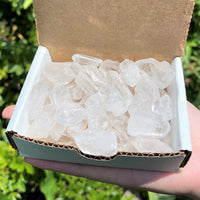 Clear Quartz Points Crystal Collection 1/2 Lb (8 oz) Natural Specimens in Box