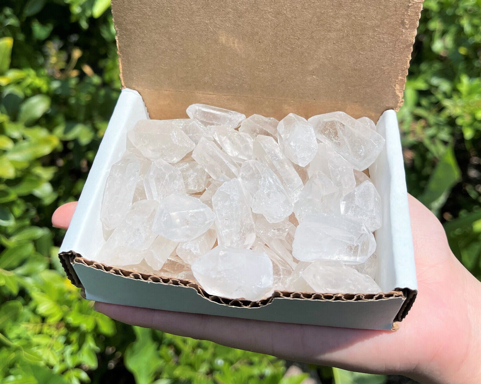 Clear Quartz Points Crystal Collection 1/2 Lb (8 oz) Natural Specimens in Box