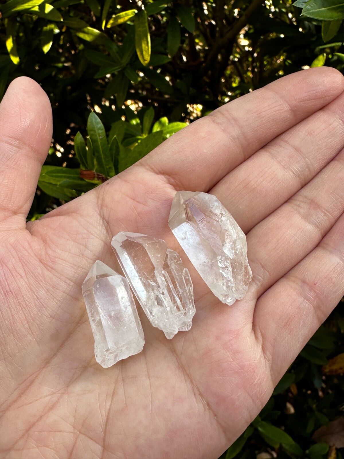 0.75" - 1.5" Small Rough Clear Quartz Point, Raw Healing Crystals, Wholesale Lot