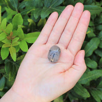 1 x Tumbled Stones : You Choose Type - Huge Range - ON SALE! (Crystal Healing)