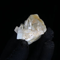Rare 120g Golden Rutile Quartz with Chlorite Crystal Cluster  India 7x4cm