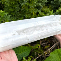 MASSIVE Selenite Logs - Natural White Selenite Crystals (HUGE Selenite Sticks)