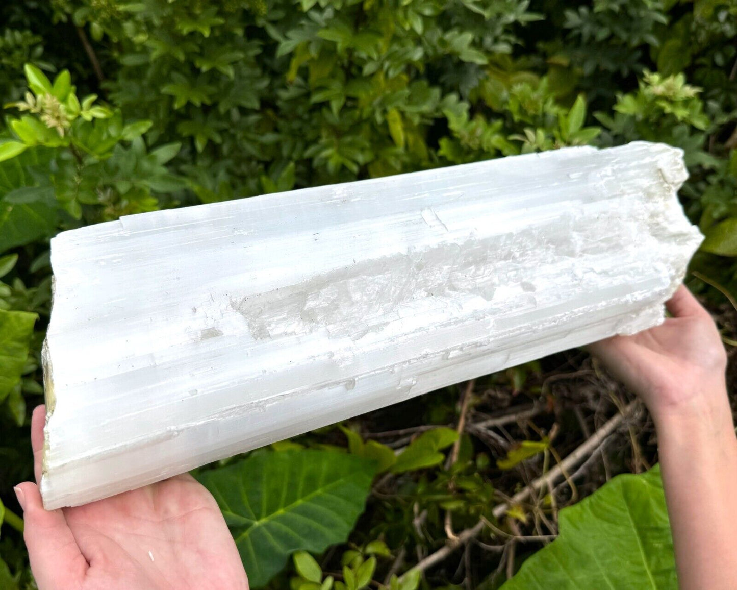 MASSIVE Selenite Logs - Natural White Selenite Crystals (HUGE Selenite Sticks)