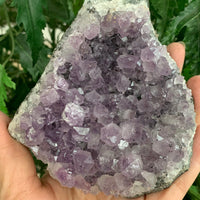 Amethyst Cluster, Amethyst Geode, Raw Amethyst, Amethyst Druze, Pick a Size
