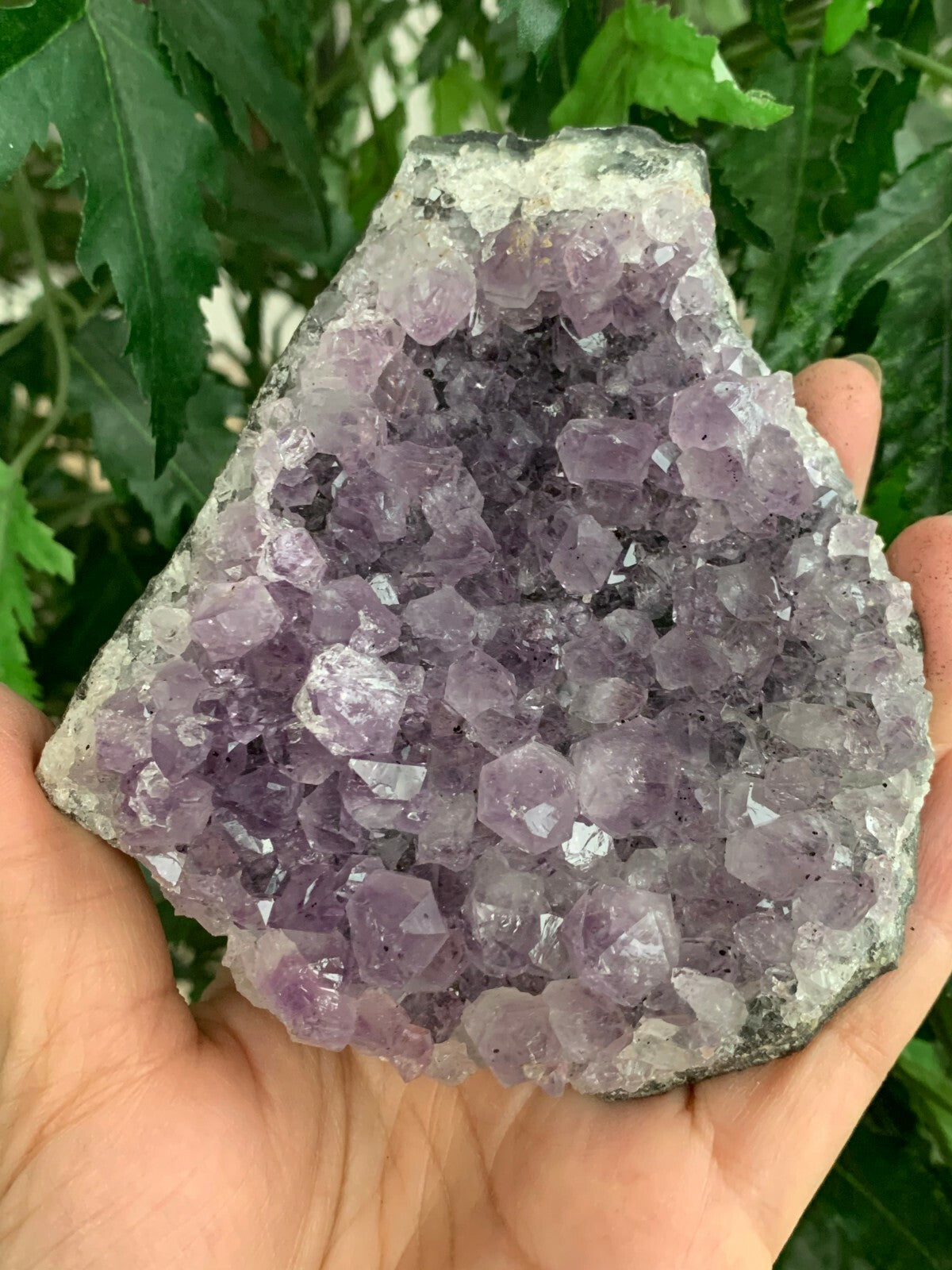 Amethyst Cluster, Amethyst Geode, Raw Amethyst, Amethyst Druze, Pick a Size