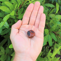 1 x Tumbled Stones : You Choose Type - Huge Range - ON SALE! (Crystal Healing)