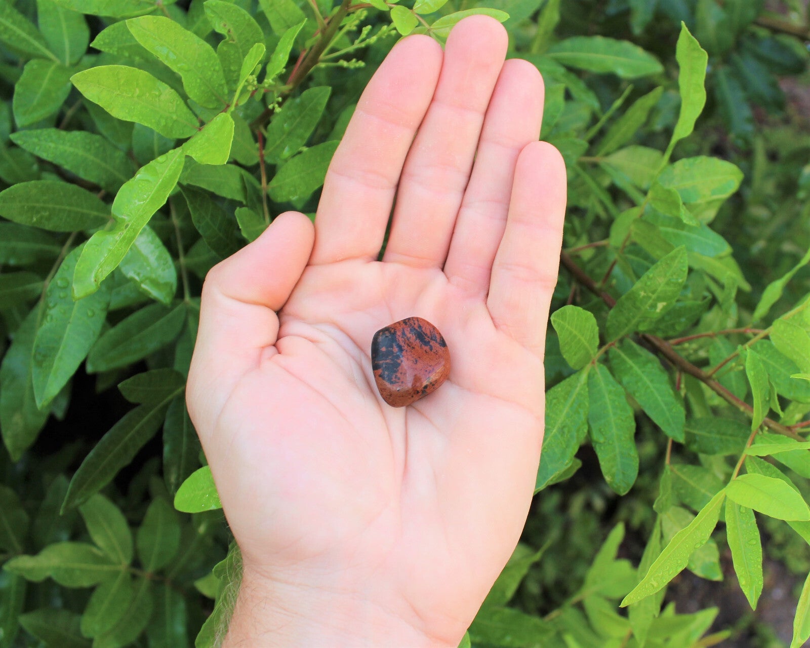 1 x Tumbled Stones : You Choose Type - Huge Range - ON SALE! (Crystal Healing)