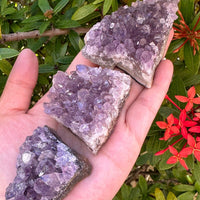 Grade A Amethyst Cluster, Amethyst Geode, Raw Amethyst Druze, Wholesale Bulk Lot