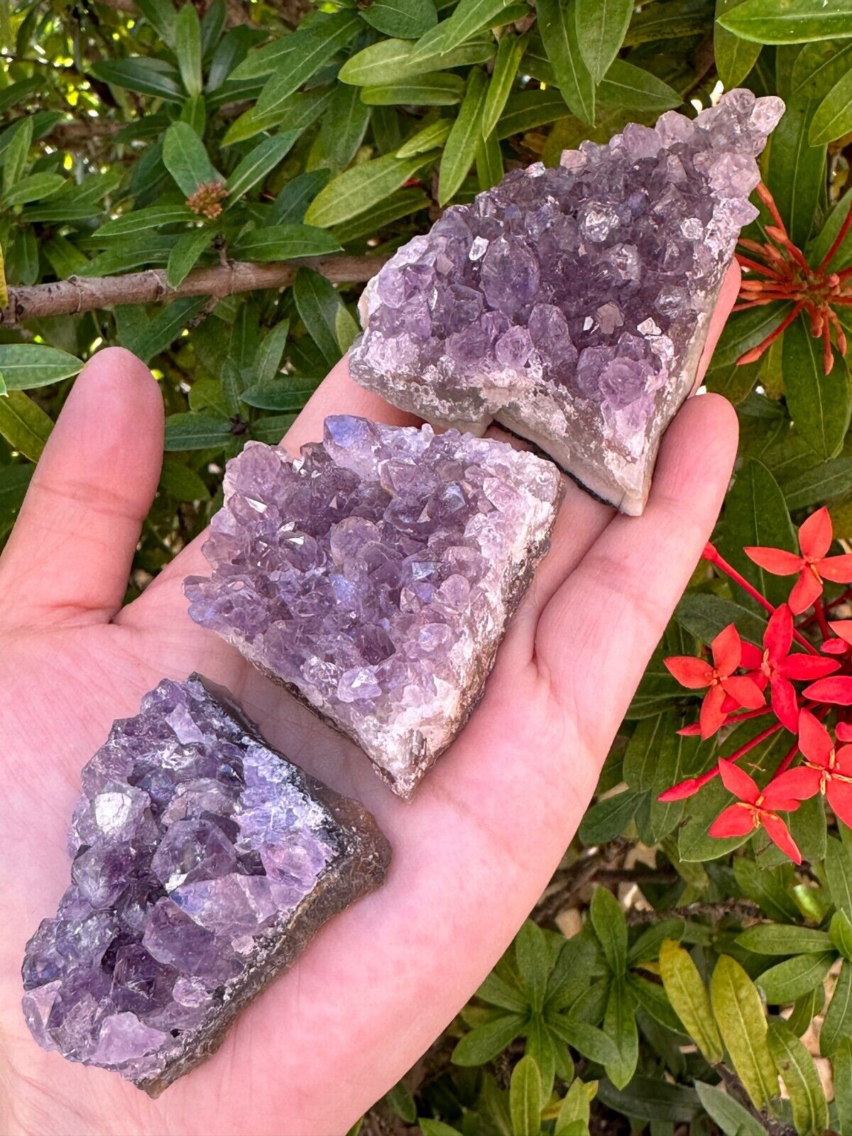 Grade A Amethyst Cluster, Amethyst Geode, Raw Amethyst Druze, Wholesale Bulk Lot
